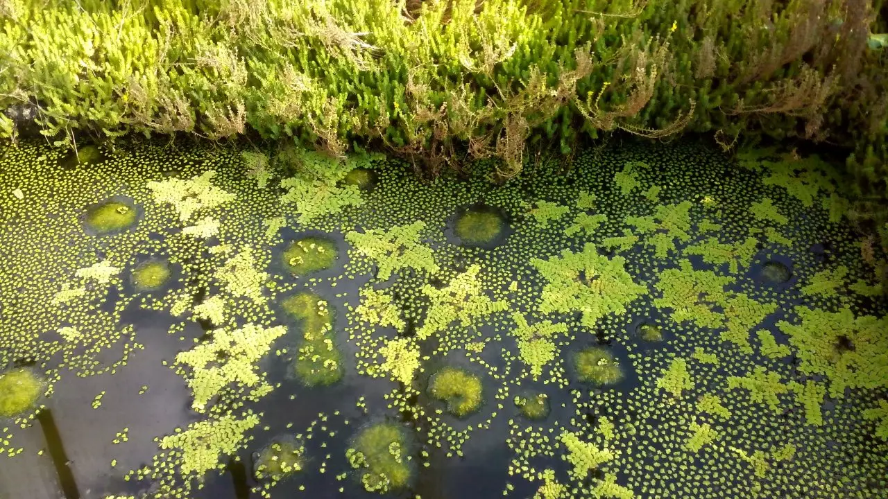 Fotka č. 2 k příspěvku 932083