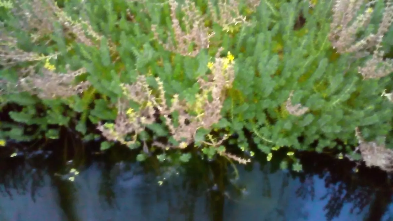 Fotka č. 1 k příspěvku 932087