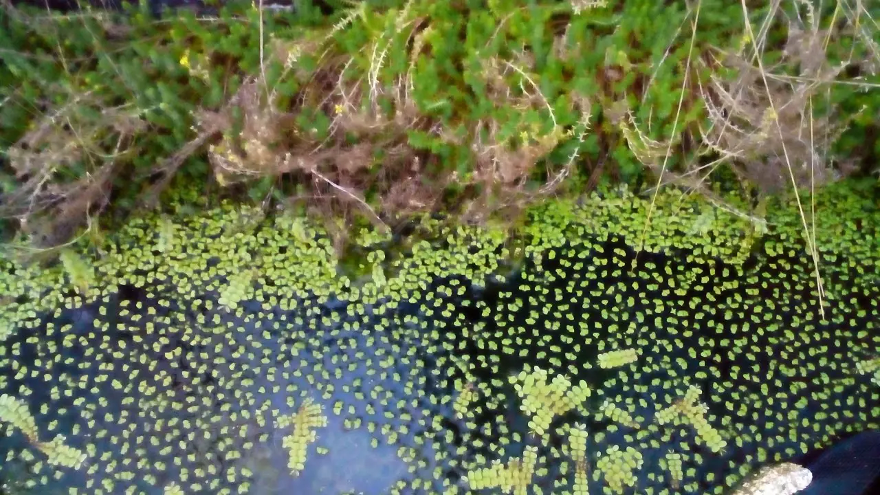 Fotka č. 3 k příspěvku 932087