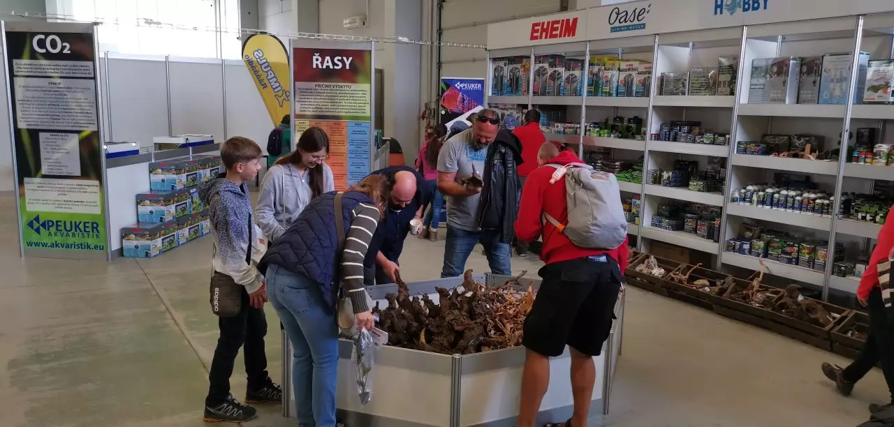 Fotka č. 2 k příspěvku 936588