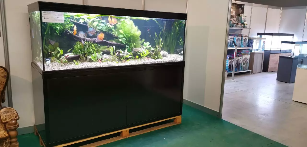 Fotka č. 3 k příspěvku 936588