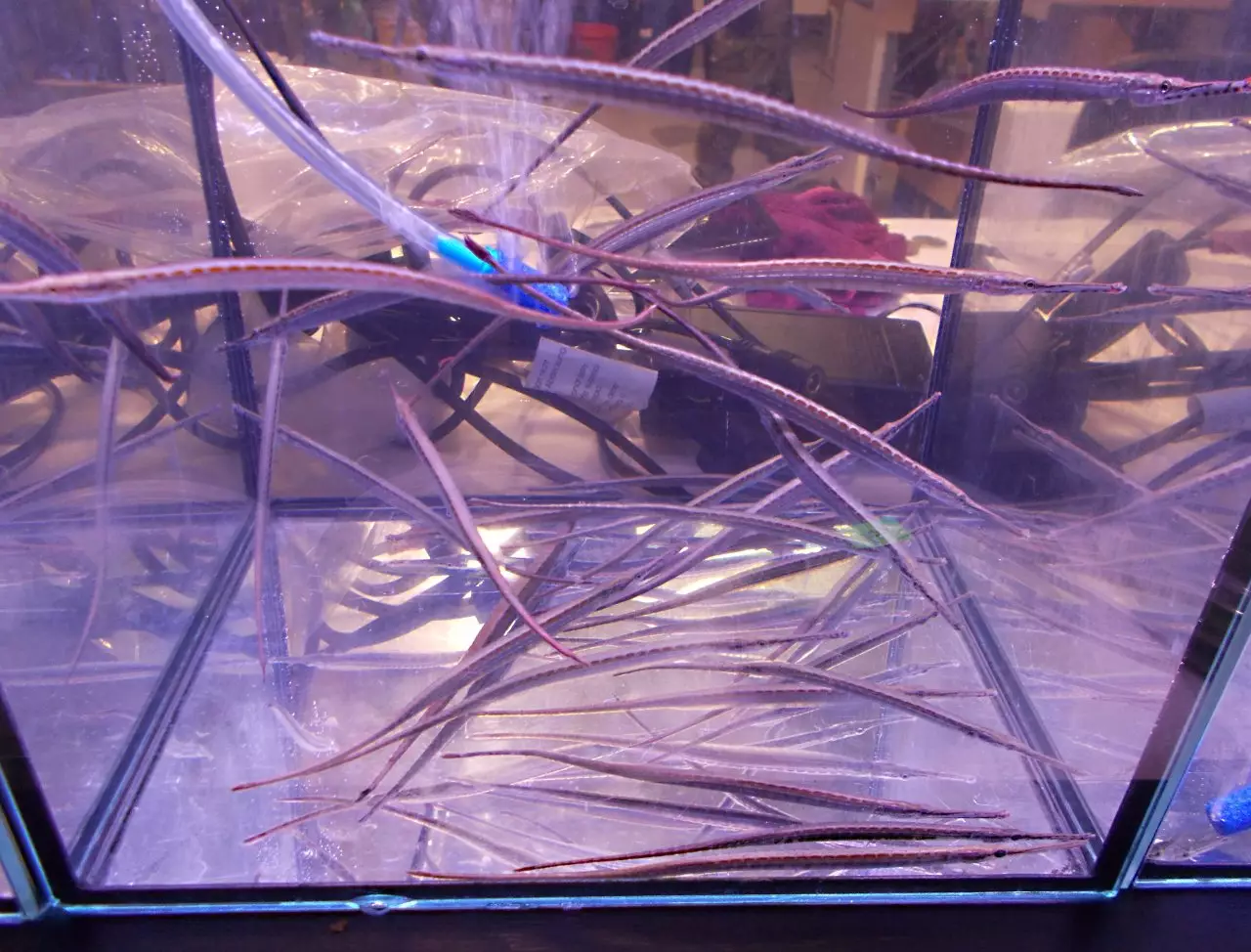 Fotka č. 4 k příspěvku 937111