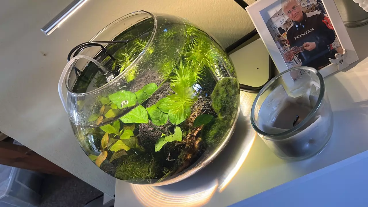 Fotka č. 1 k příspěvku 943551