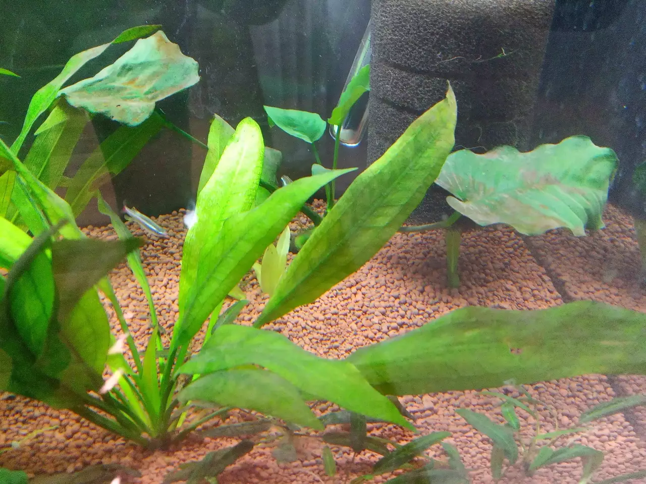 Fotka č. 1 k příspěvku 945250