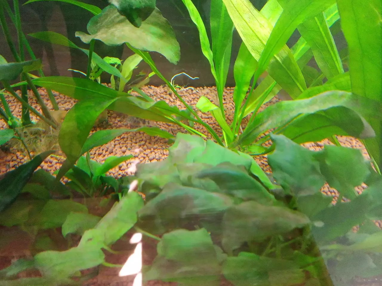 Fotka č. 2 k příspěvku 945250