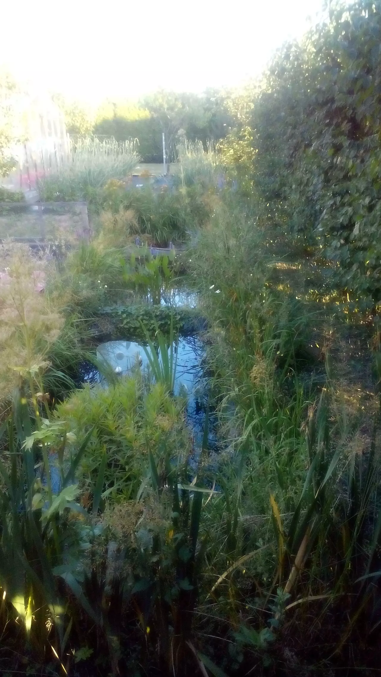 Fotka č. 1 k příspěvku 950743