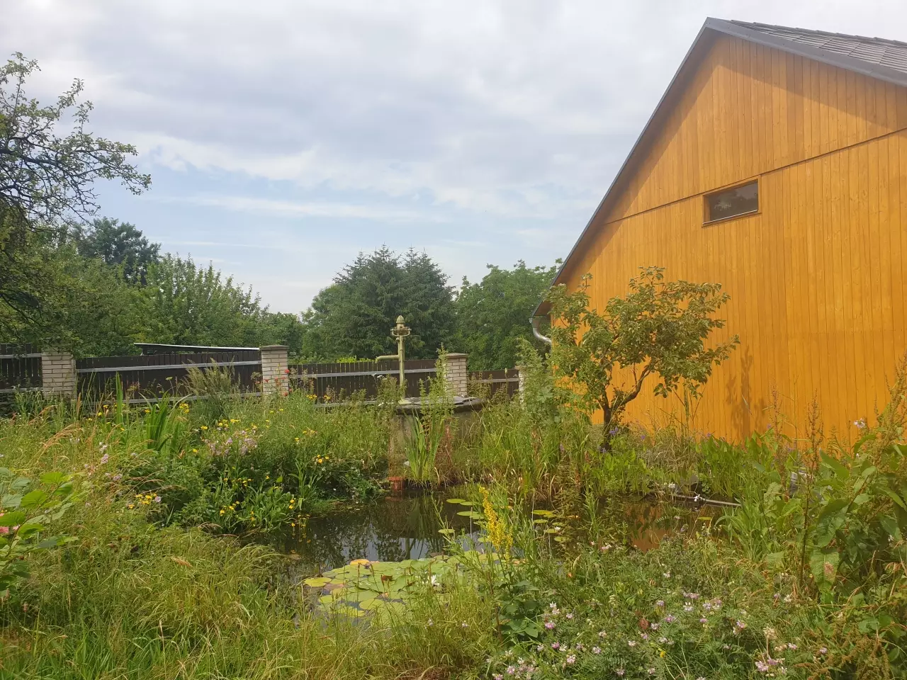 Fotka č. 1 k příspěvku 950838