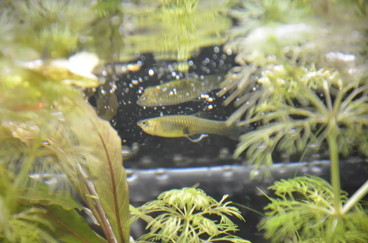 Fotka č. 2 k příspěvku 952724