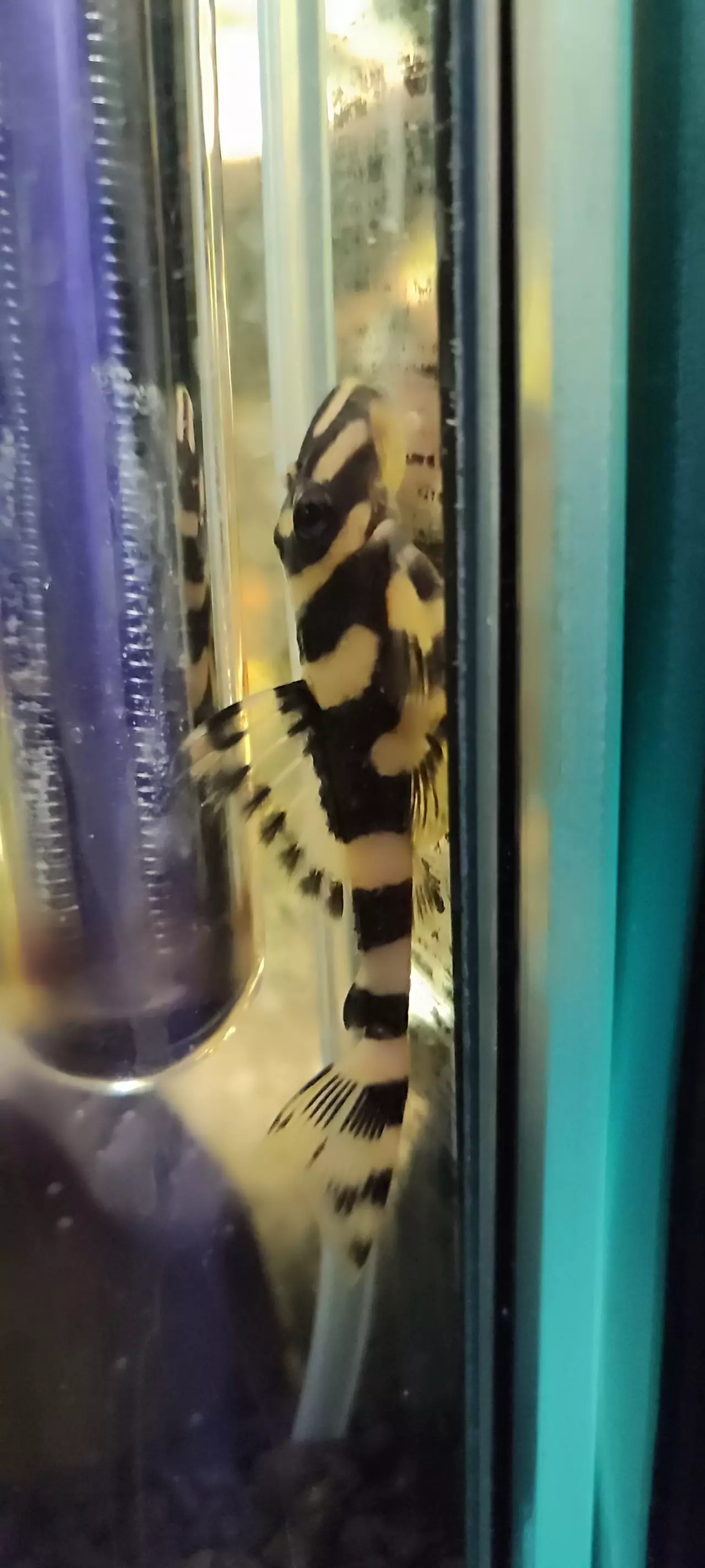 Fotka č. 3 k příspěvku 955542