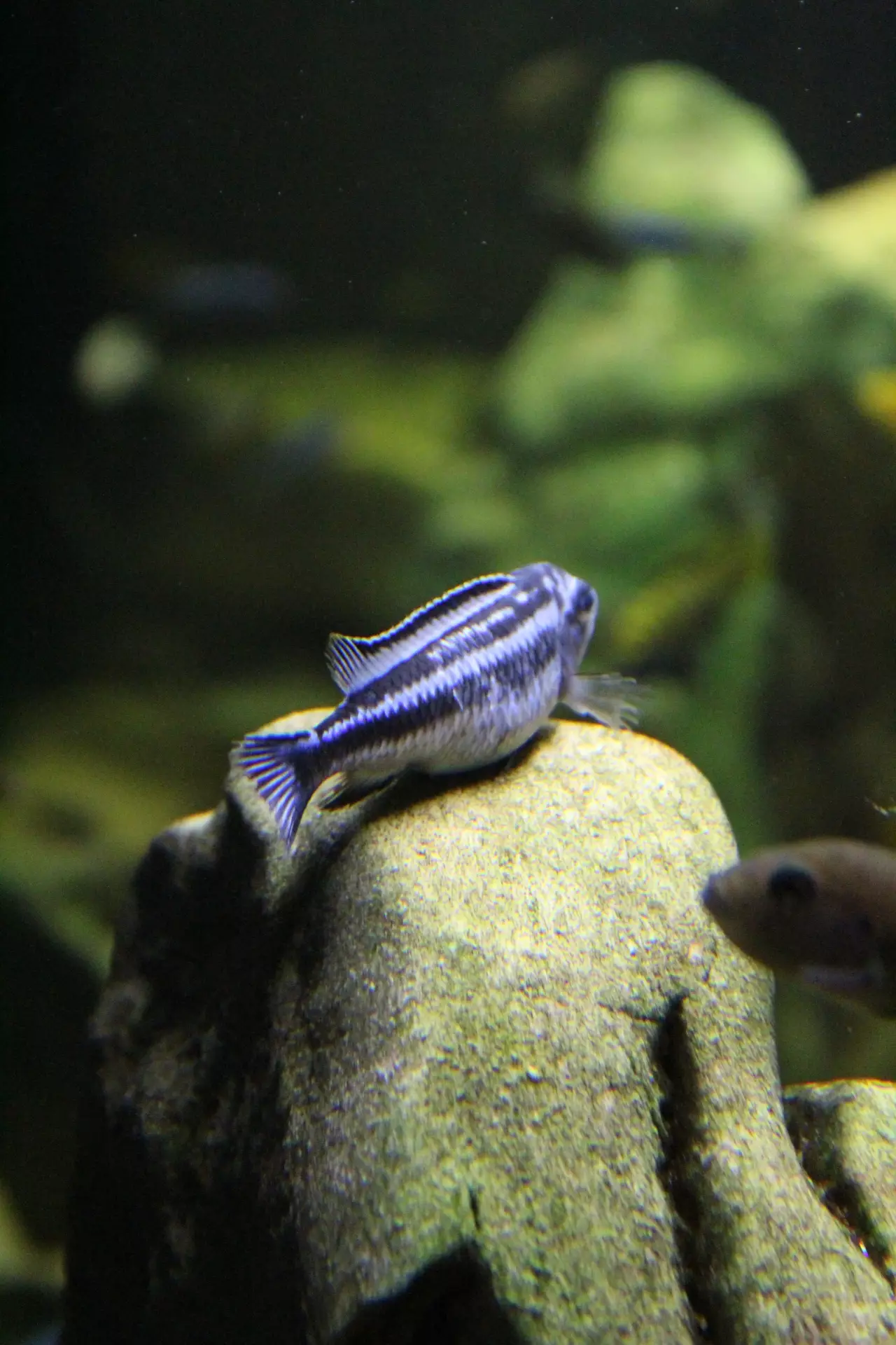 Fotka č. 5 k příspěvku 956200