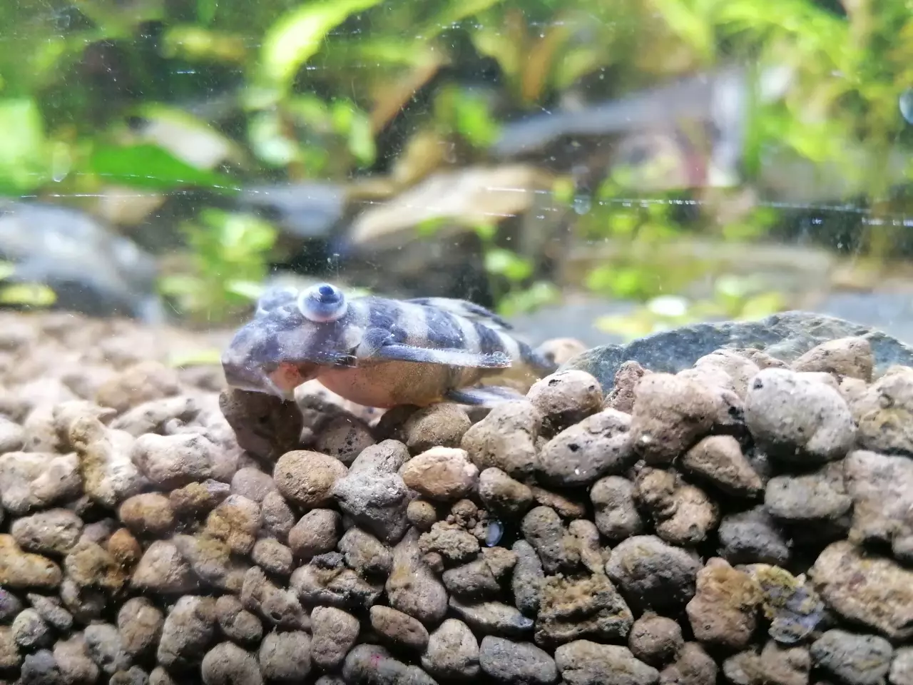 Fotka č. 1 k příspěvku 958099