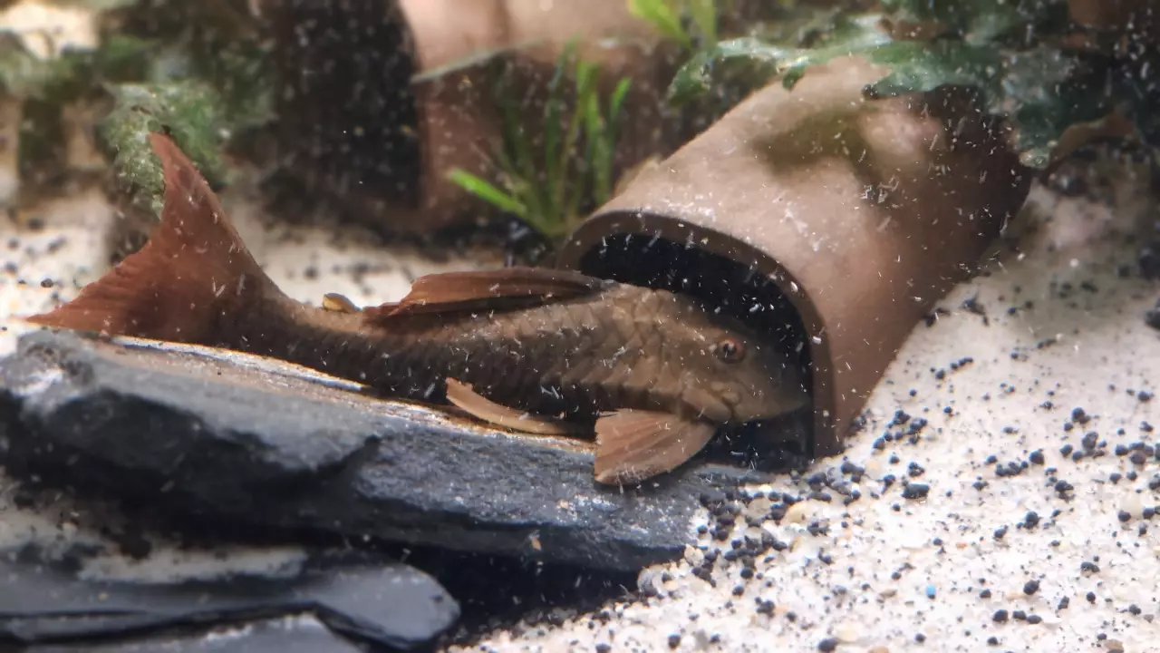 Fotka č. 1 k příspěvku 958812