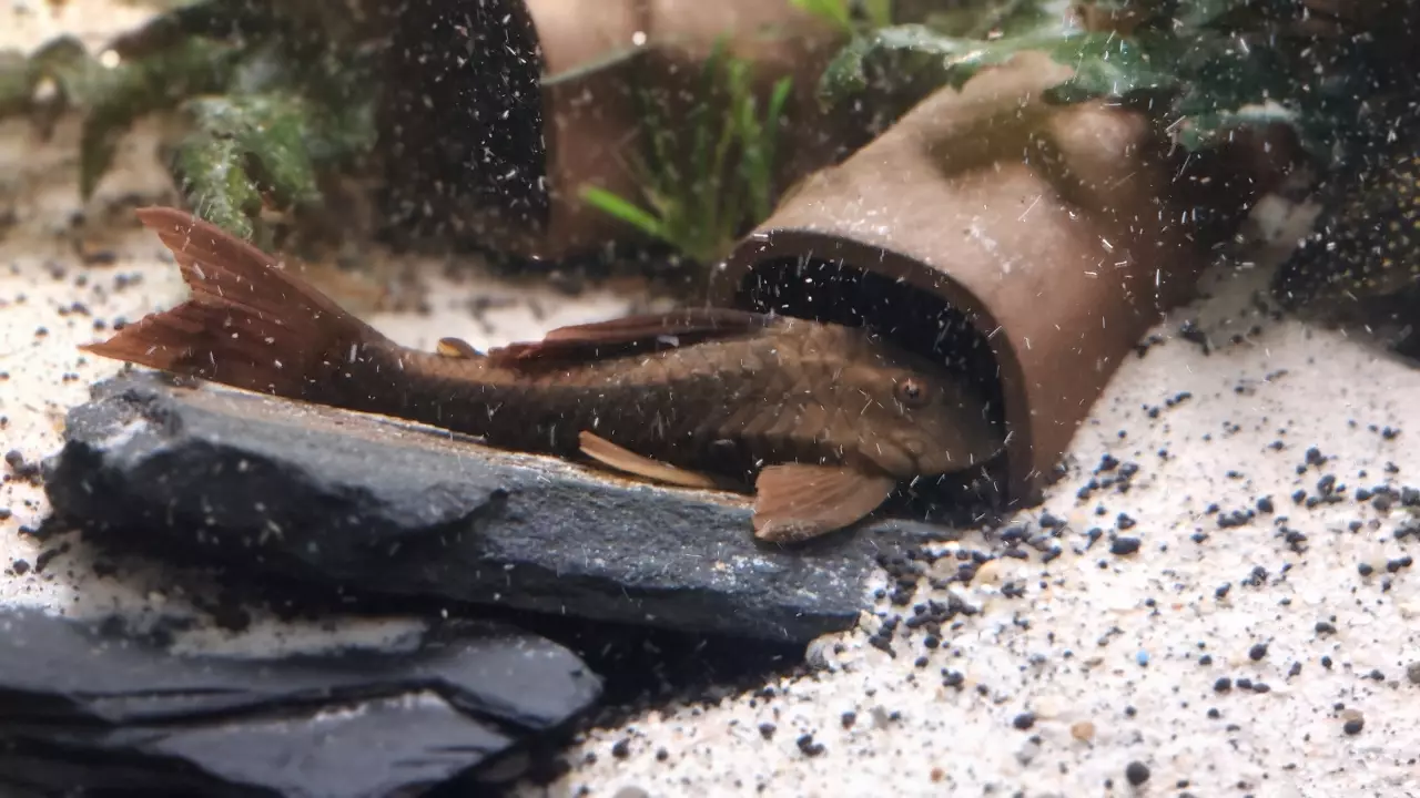 Fotka č. 2 k příspěvku 958812