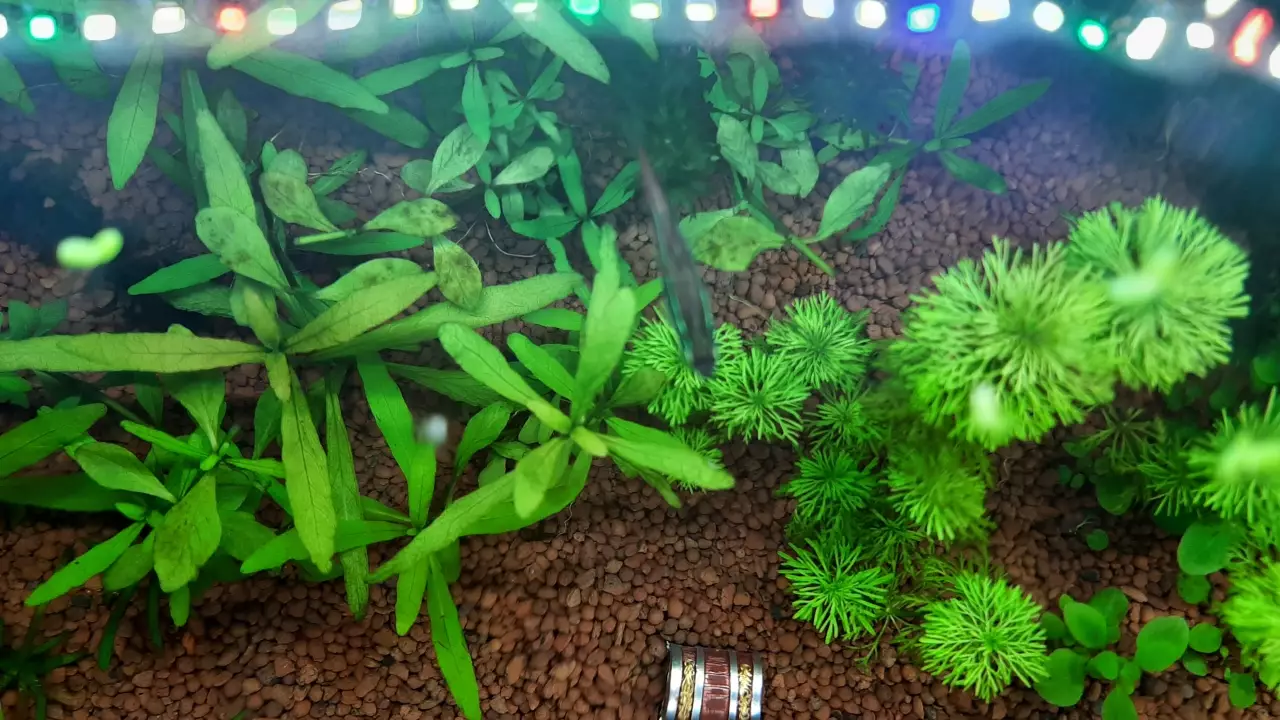 Fotka č. 2 k příspěvku 958967