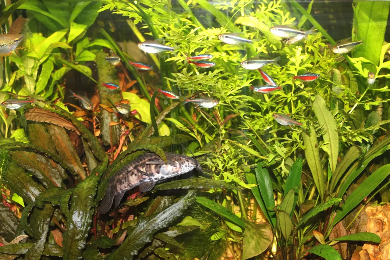 Fotka č. 1 k příspěvku 959872