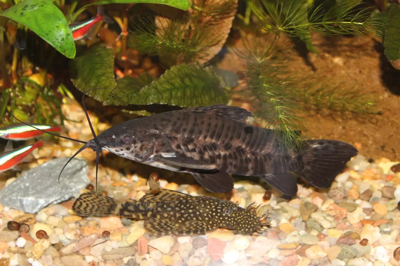 Fotka č. 2 k příspěvku 959872