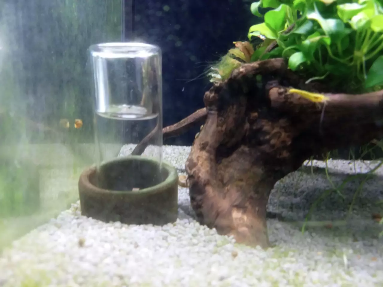 Fotka č. 1 k příspěvku 961799