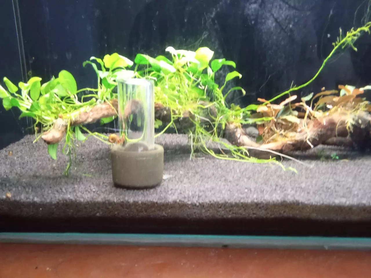 Fotka č. 2 k příspěvku 961799