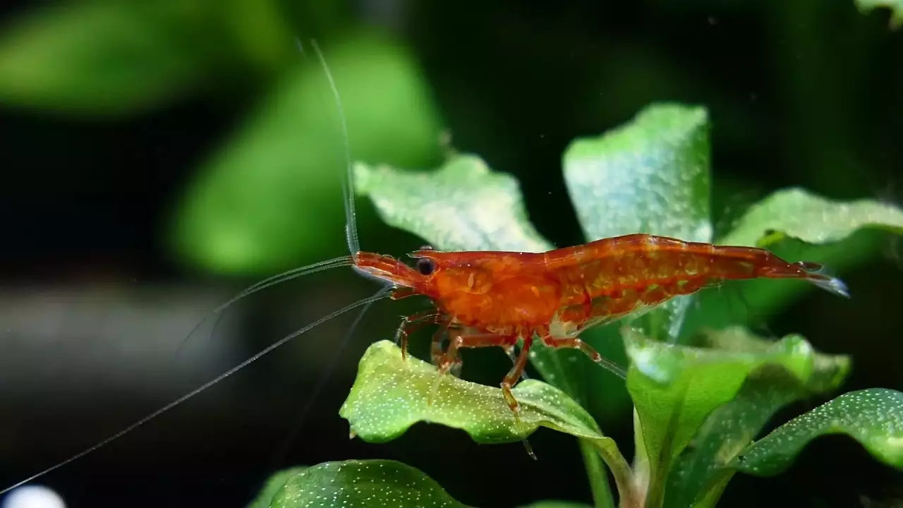 Fotka č. 3 k příspěvku 962622