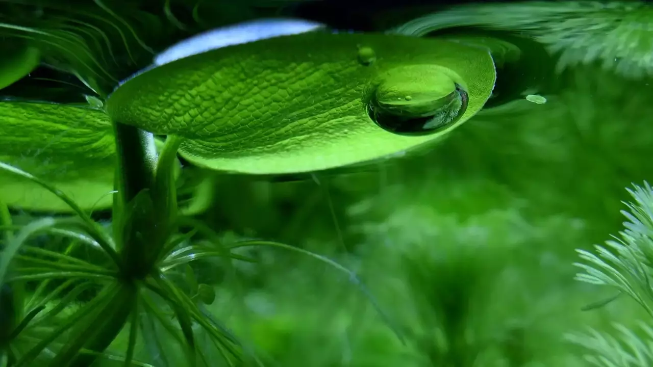 Fotka č. 5 k příspěvku 962622