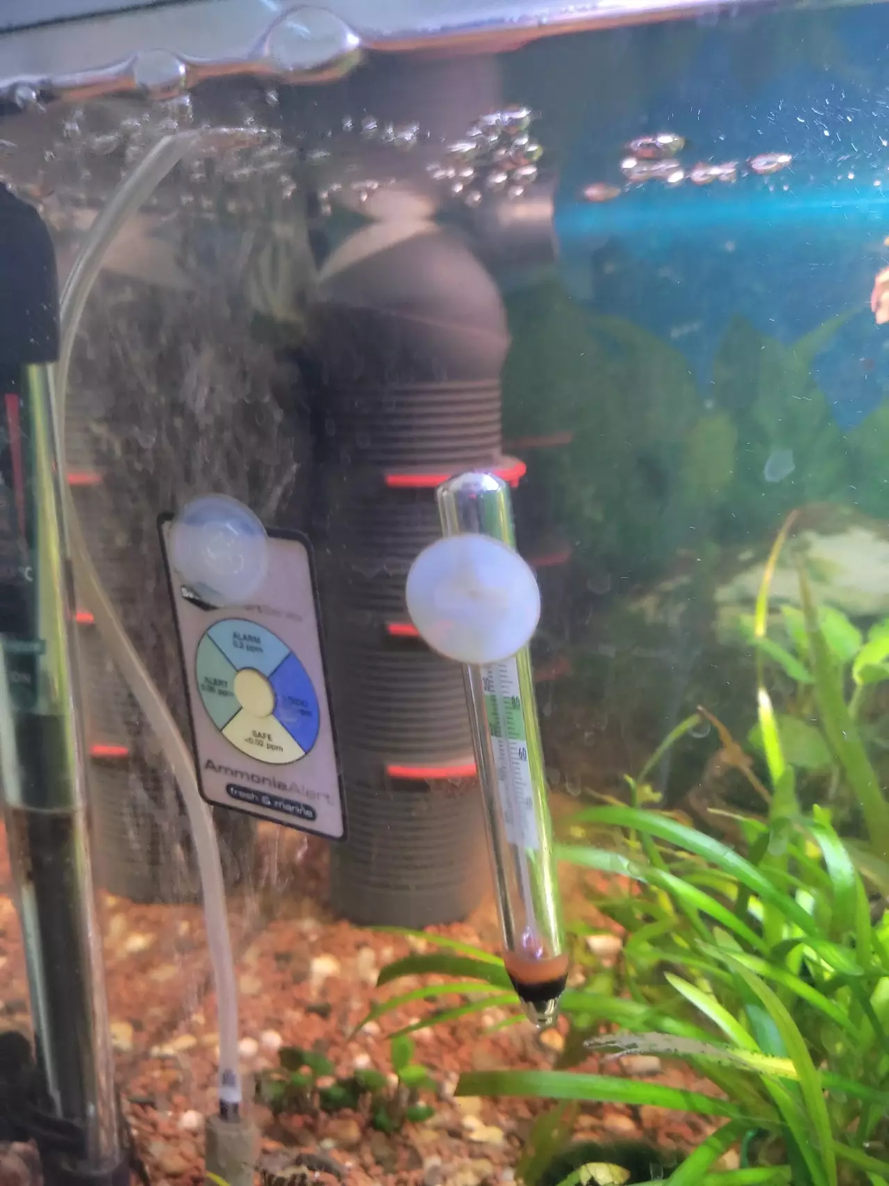 Fotka č. 2 k příspěvku 964529