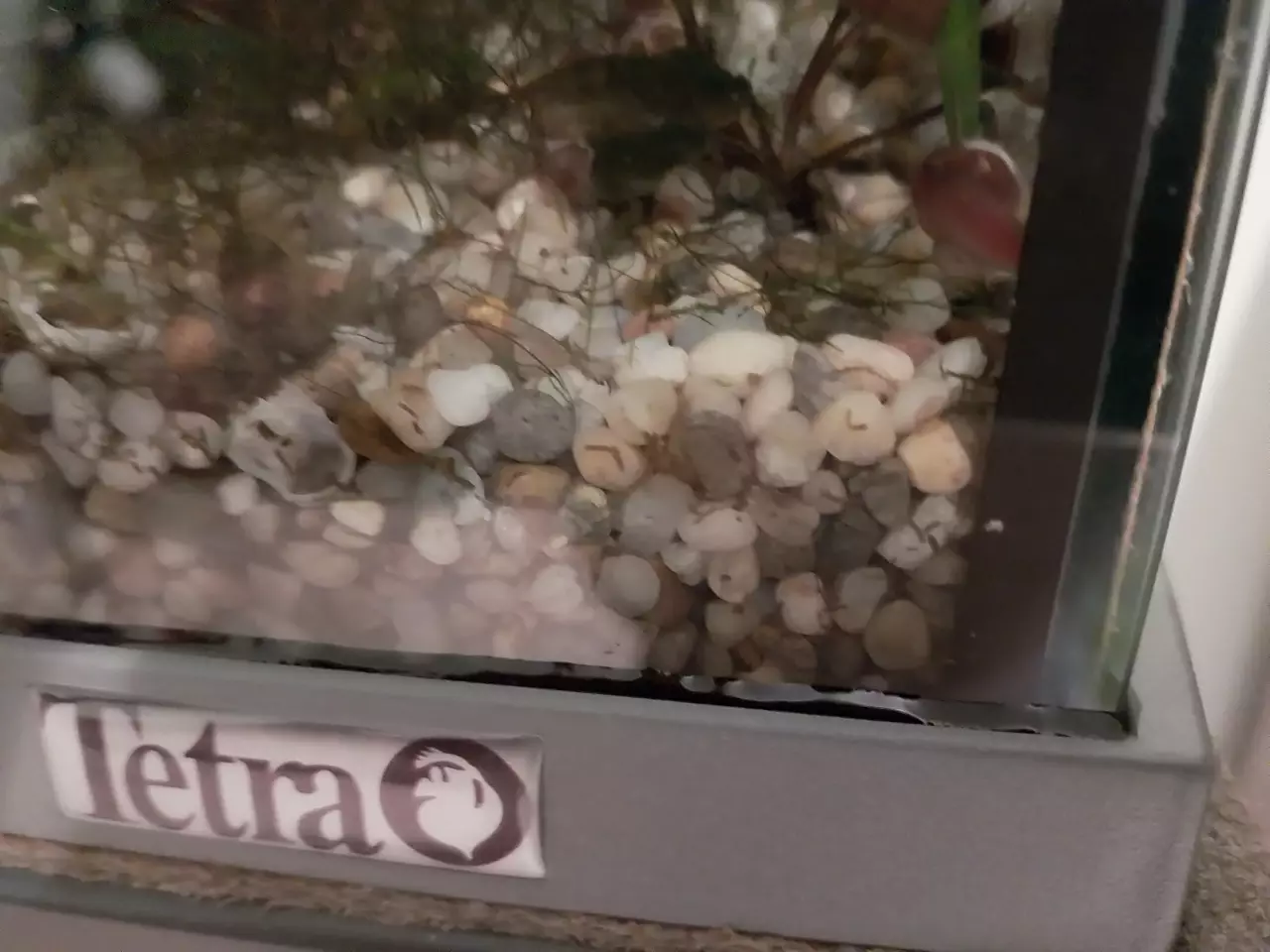 Fotka č. 1 k příspěvku 964933