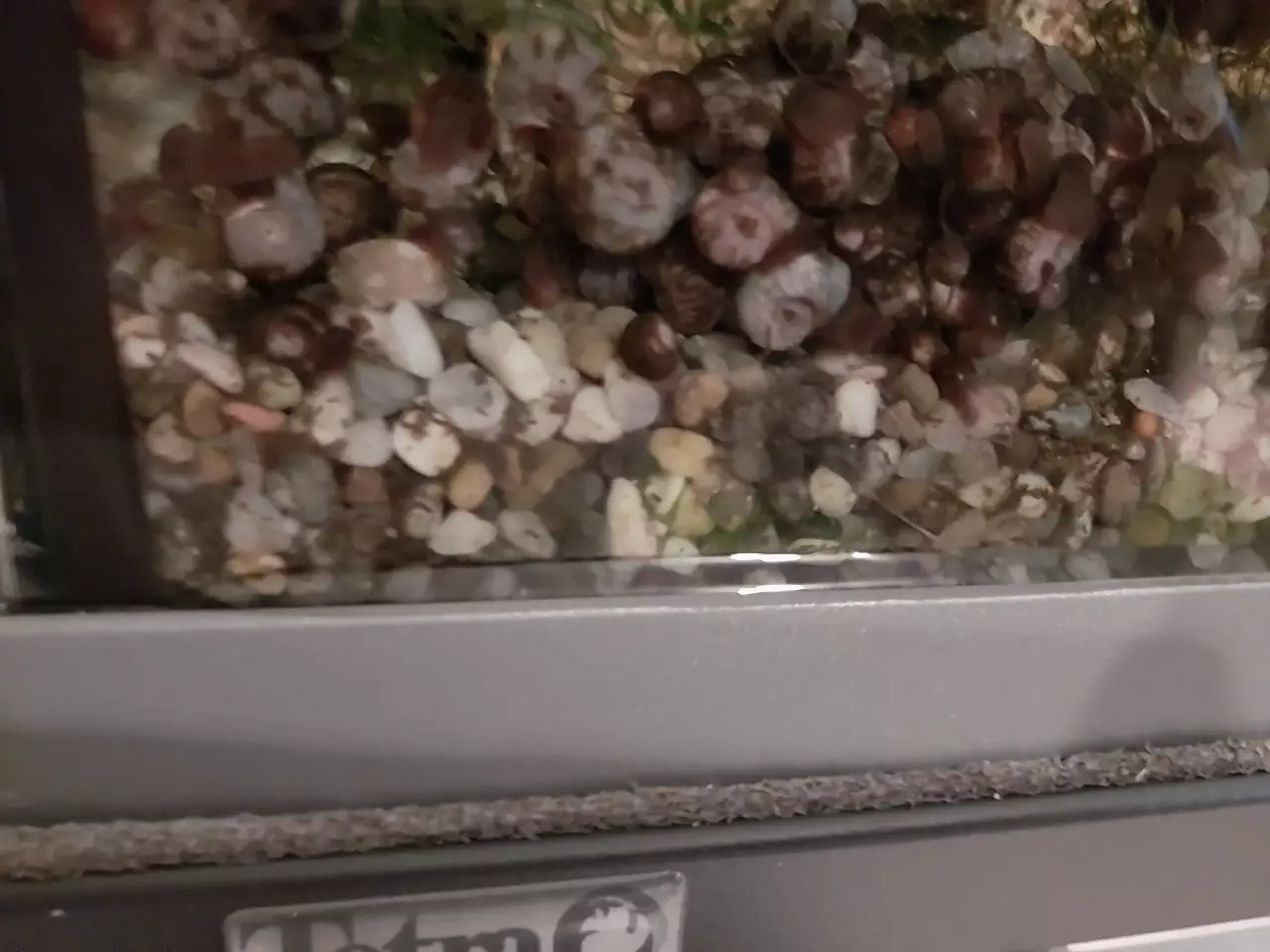 Fotka č. 2 k příspěvku 964933