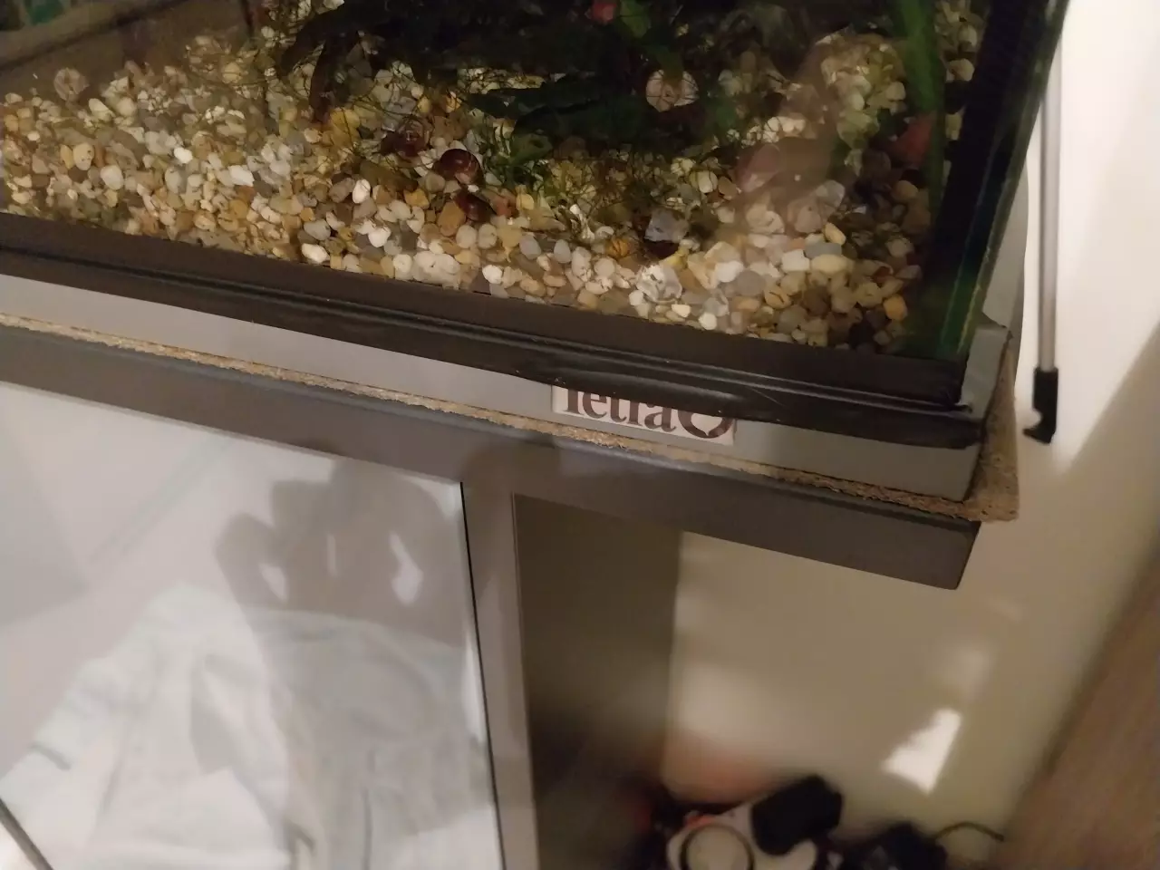 Fotka č. 4 k příspěvku 964933