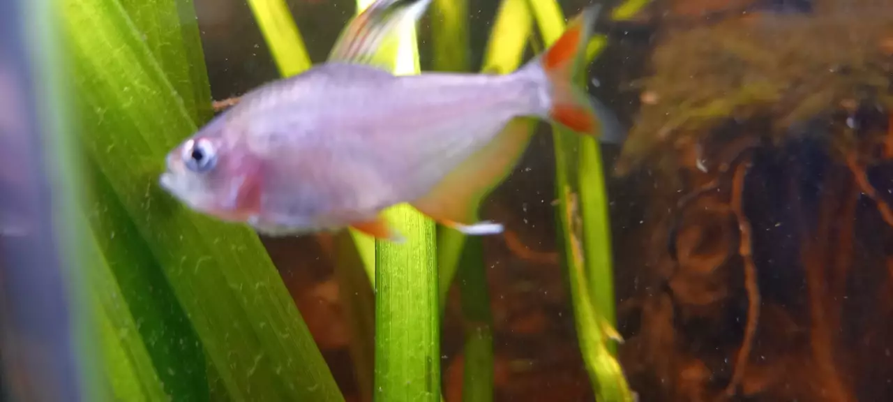 Fotka č. 1 k příspěvku 965145