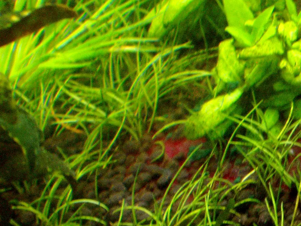 Fotka č. 1 k příspěvku 965888