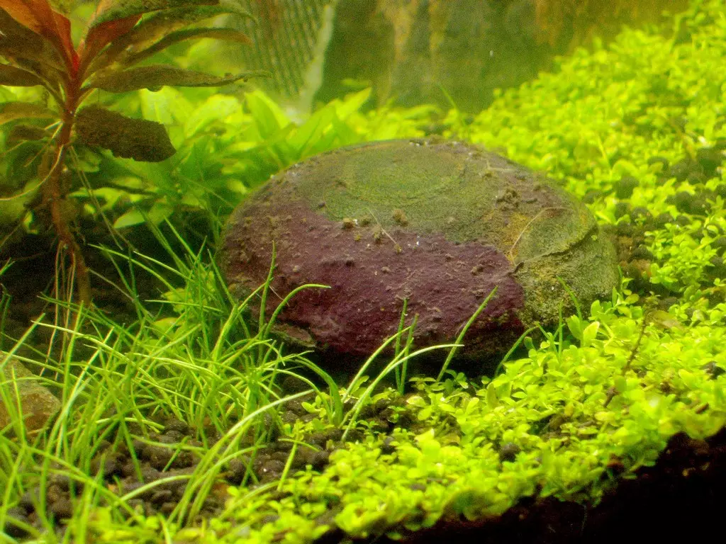 Fotka č. 1 k příspěvku 965898