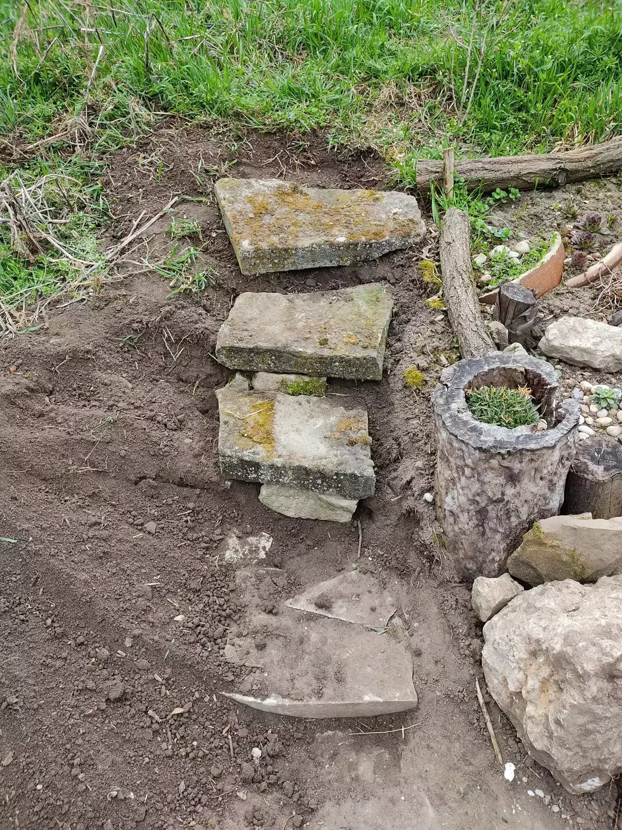 Fotka č. 2 k příspěvku 966780