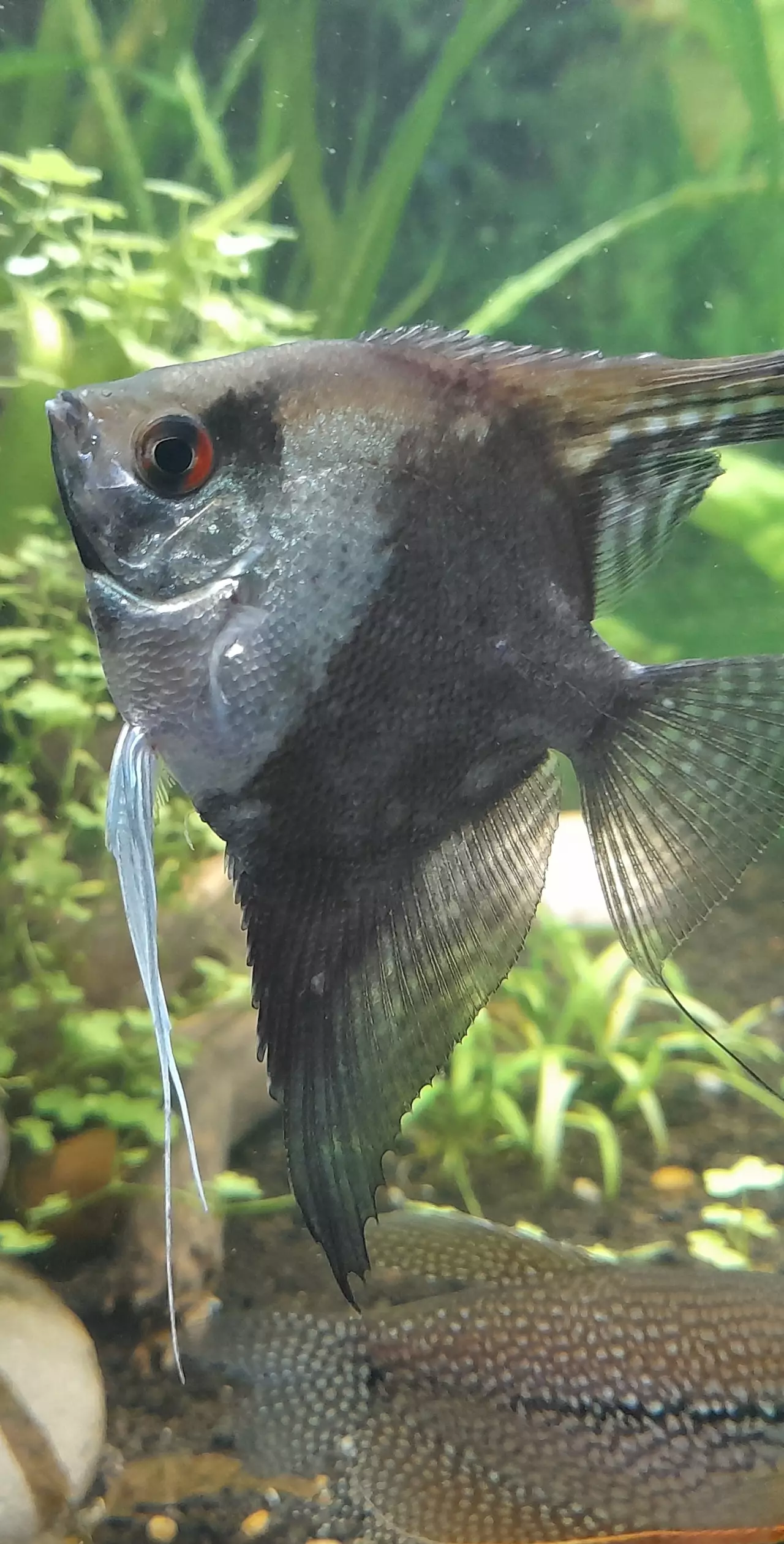 Fotka č. 1 k příspěvku 968586