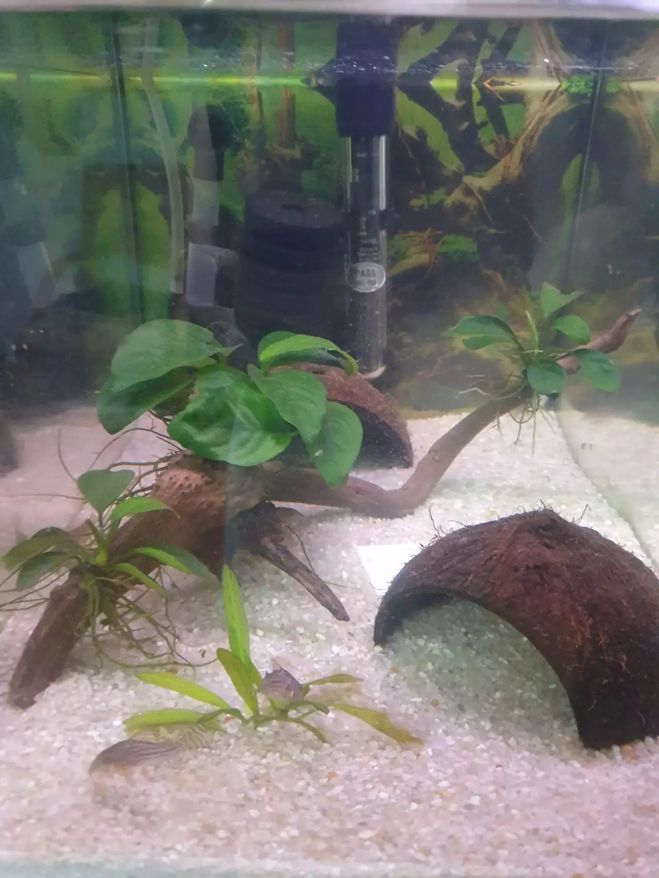 Fotka č. 1 k příspěvku 968631