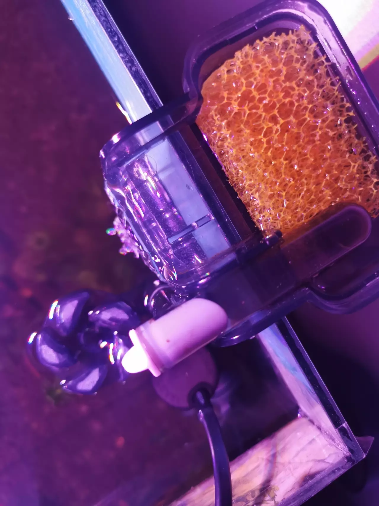 Fotka č. 1 k příspěvku 968662