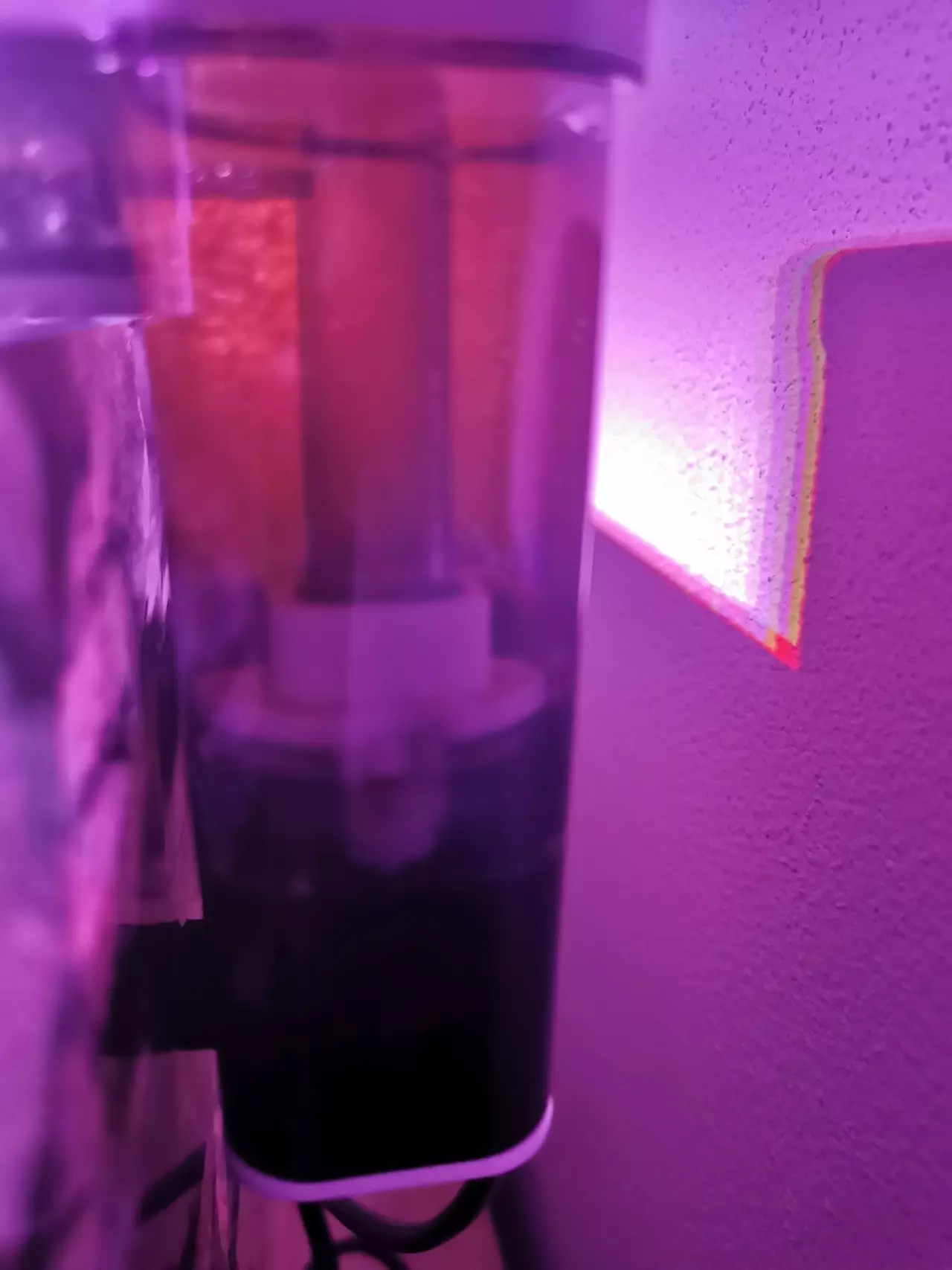 Fotka č. 2 k příspěvku 968662