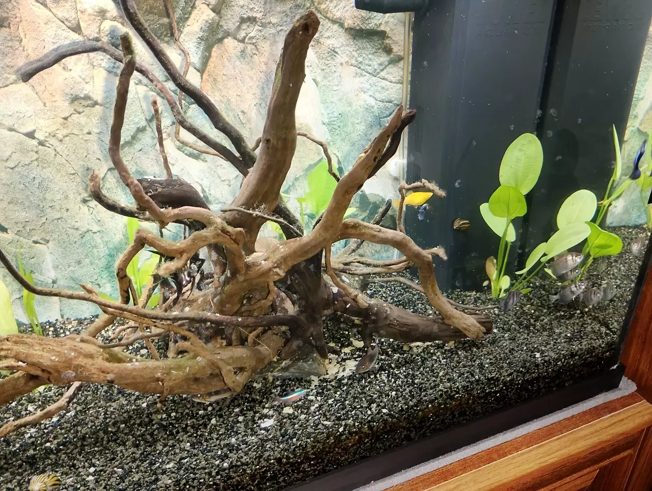 Fotka č. 1 k příspěvku 969069