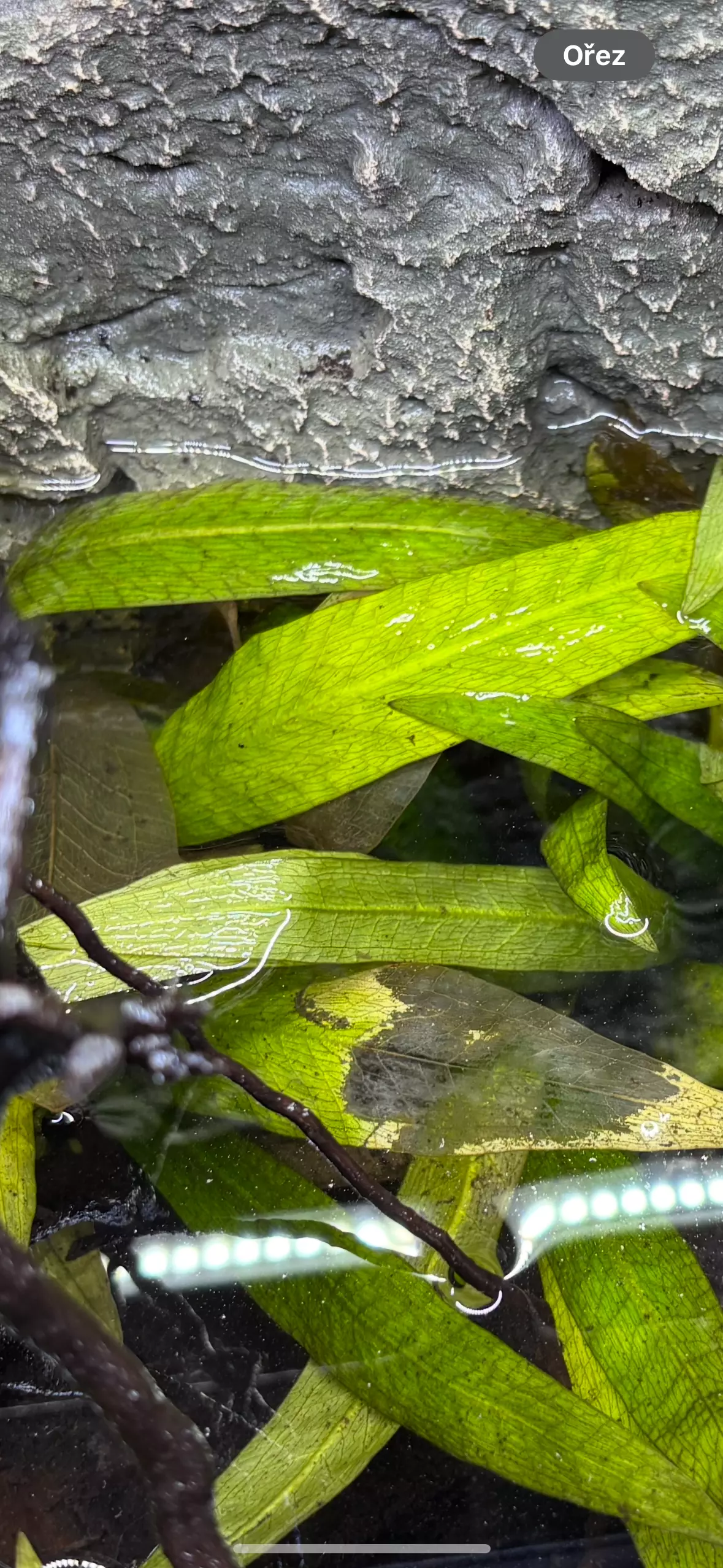 Fotka č. 2 k příspěvku 969401