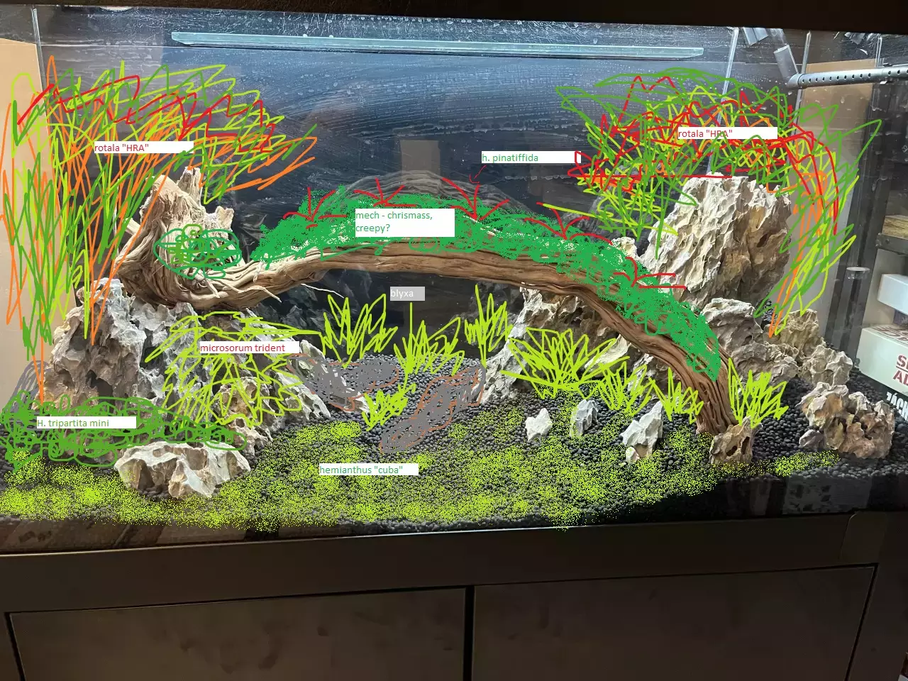 Fotka č. 1 k příspěvku 969801