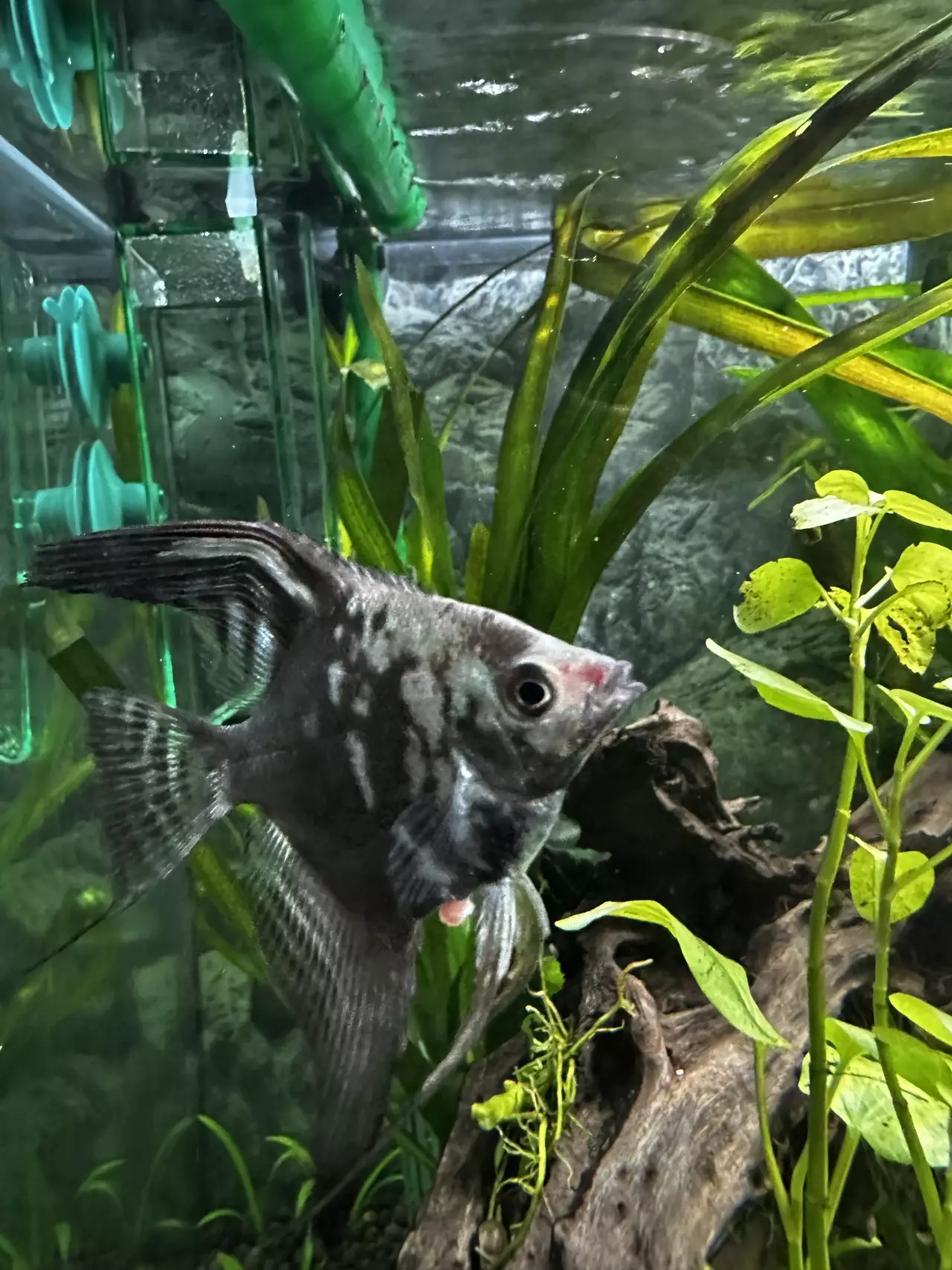 Fotka č. 1 k příspěvku 969828