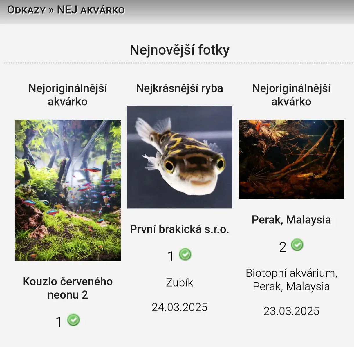 Fotka č. 1 k příspěvku 970144