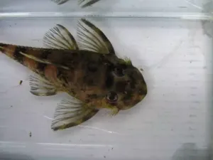 Fotka k příspěvku