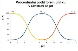 Fotka k příspěvku