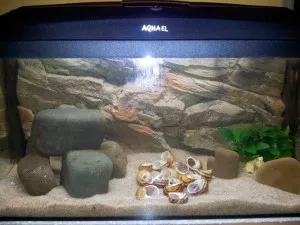 Aquarium Stacking Rocks