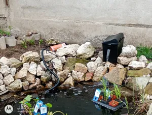 Fotka k příspěvku