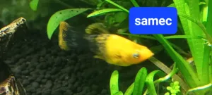 Fotka k příspěvku