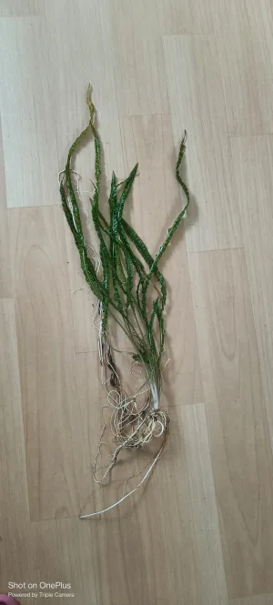 Fotka k příspěvku