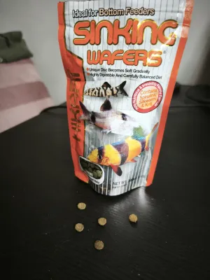 Fotka k příspěvku