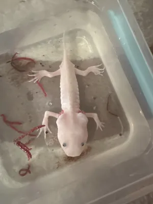 Fotka k příspěvku