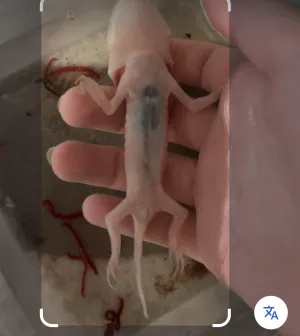 Fotka k příspěvku